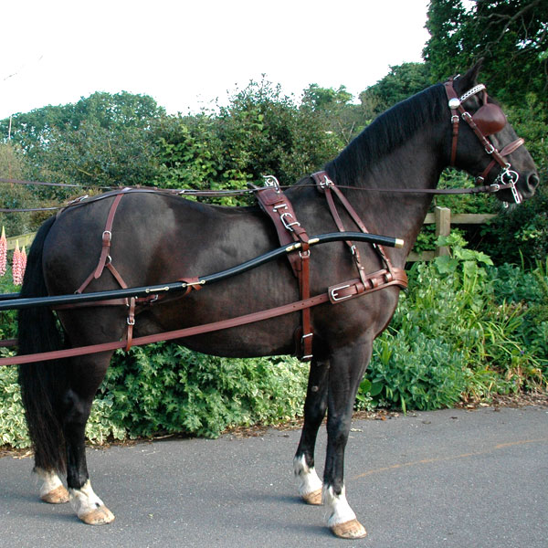 Superior Leather Driving Harness From the Ragnor Collection 